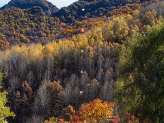 -玉渡山自然风景区