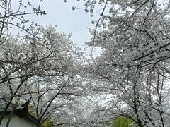 -范蠡湖公园