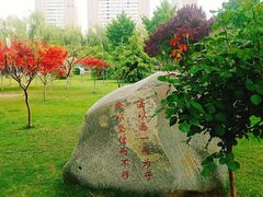 -西清公园