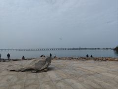 -宝安西湾红树林湿地公园