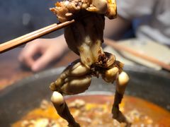 -老天桥蛙炉火锅(姑苏总店)