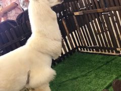 -上海颛桥万达广场