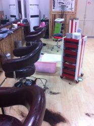 -镁连社·美联社