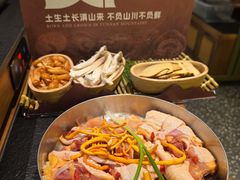 -季季山·云南野生菌火锅(上海首店)
