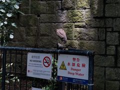 -九龙公园