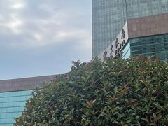 -安徽世纪金源大饭店游泳馆(滨湖区)