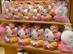 -安吉Hello Kitty乐园