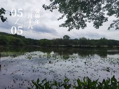 -八卦田遗址公园