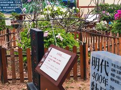 -曹州百花园