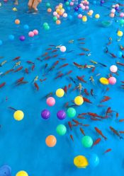 -萌宠亲子动物乐园(槐房万达店)