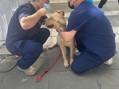 -爱侣宠医·鹦鹉专科·小型哺乳类·异宠专科(灵石路店)