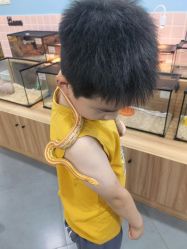 -Moni星球萌宠·小马宝莉·灵蛇·高端高阶全萌宠互动体验俱乐部(红豆国际广场店)