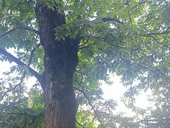 -九华山风景区月身宝殿