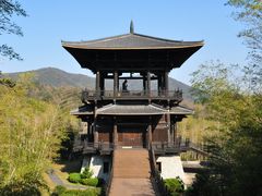 -大唐贡茶院