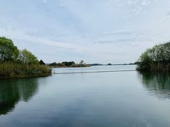 -贡湖湾湿地公园