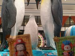 -帝企鹅自助餐厅•儿童岛•真企鹅(长隆企鹅酒店)