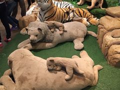 -济州岛泰迪熊博物馆