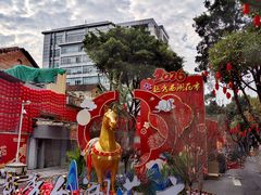-越秀西湖花市(广州城市广场花卉店)