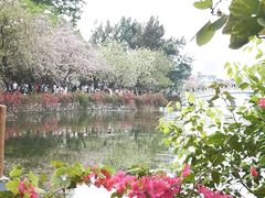 -星湖旅游景区七星岩