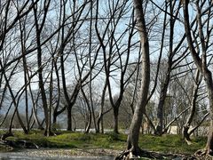 -西溪南古村落景区