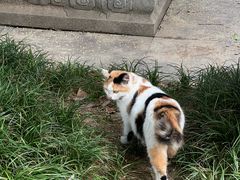 -西安大兴善寺