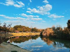 -升仙湖公园