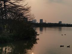 -海珠湖公园