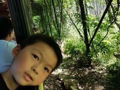 -合肥滨湖国家森林公园