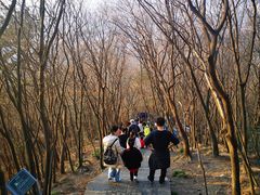 -紫金山山顶公园