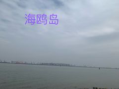 -海鸥岛