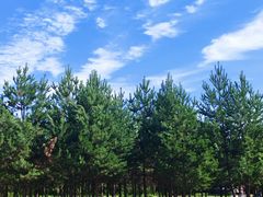 -北极村旅游风景区