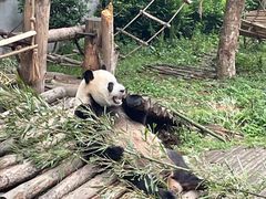 -黔灵山公园