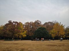 -灵谷景区