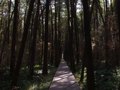 -同里国家湿地公园