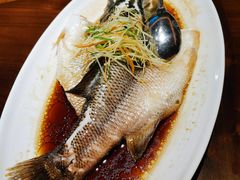 清蒸鲈鱼-甘家界牌柠檬鸭(青山店)