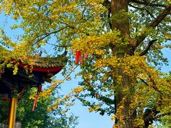 -金堂县云顶石城风景区