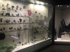 -墨尔本博物馆(Melbourne Museum)