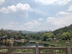 -世界恐龙谷景区