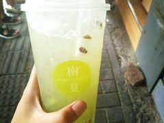 -树夏(建设路店)