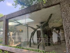 -南昌动物园