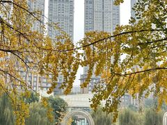 -成都市活水公园