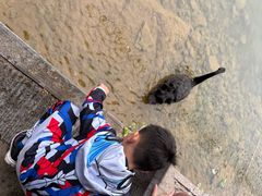 -湖泉半山温泉(湖泉生态园)