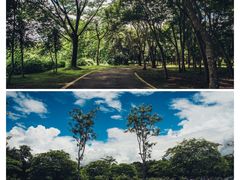 -中国科学院西双版纳热带植物园