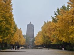 -玲珑塔公园