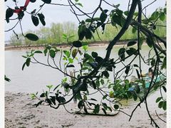 -东寨港红树林旅游区