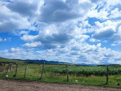 -塞罕坝国家级自然保护区