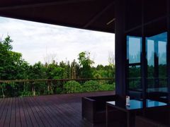 -白鹭湾湿地公园