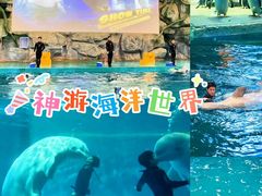 -威海华夏城景区