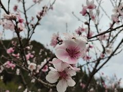 -贵阳市花溪国家城市湿地公园
