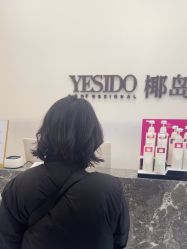 -YESIDO椰岛造型